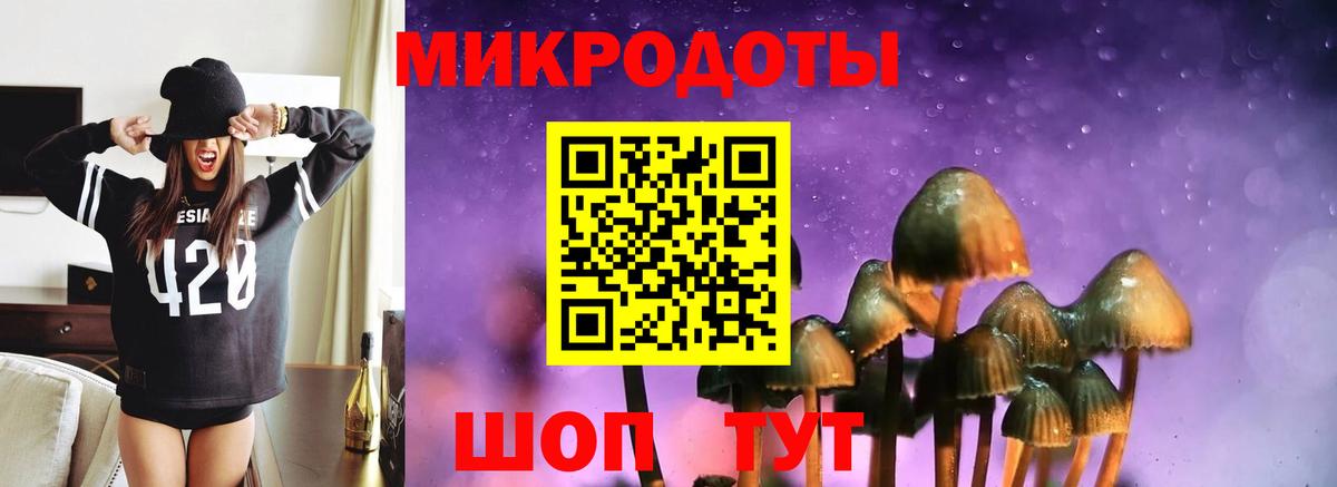 Галлюциногенные грибы GOLDEN TEACHER Родники