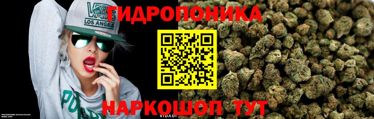 Канабис семена  Вход с VPN  Родники  Бошки марихуана AK-47  Бошки марихуана гибрид 
